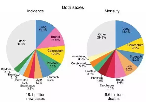 最新全球癌癥統(tǒng)計:今年將有1000萬人死于癌癥-肽度TIMEDOO