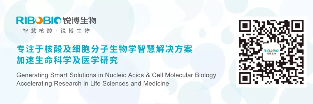 一起來盤點miRNA最新研究進(jìn)展(20190111)-肽度TIMEDOO