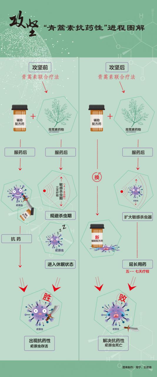 屠呦呦團隊“青蒿素抗藥性”等研究獲新突破-肽度TIMEDOO