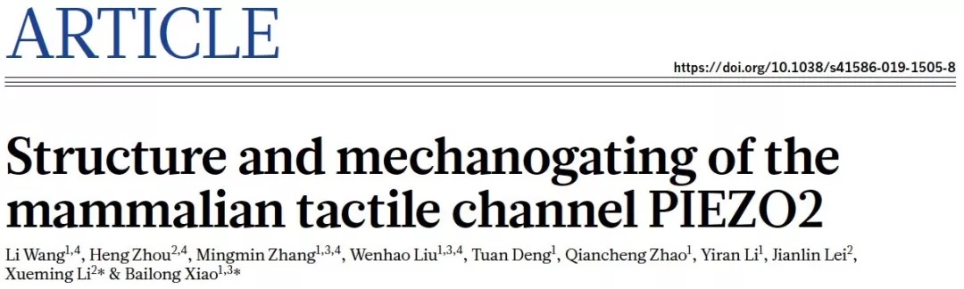 科研成果 | 清華大學肖百龍與李雪明課題組合作在《自然》發(fā)文揭秘介導人體觸覺感知的精巧分子機器結(jié)構(gòu)與機制-肽度TIMEDOO