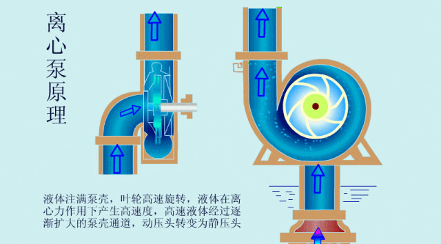 空前盛況|第五屆circRNA研究論壇圓滿落幕！-肽度TIMEDOO