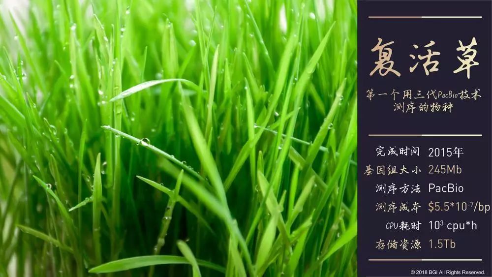 真·基因傳:從讀到寫-肽度TIMEDOO