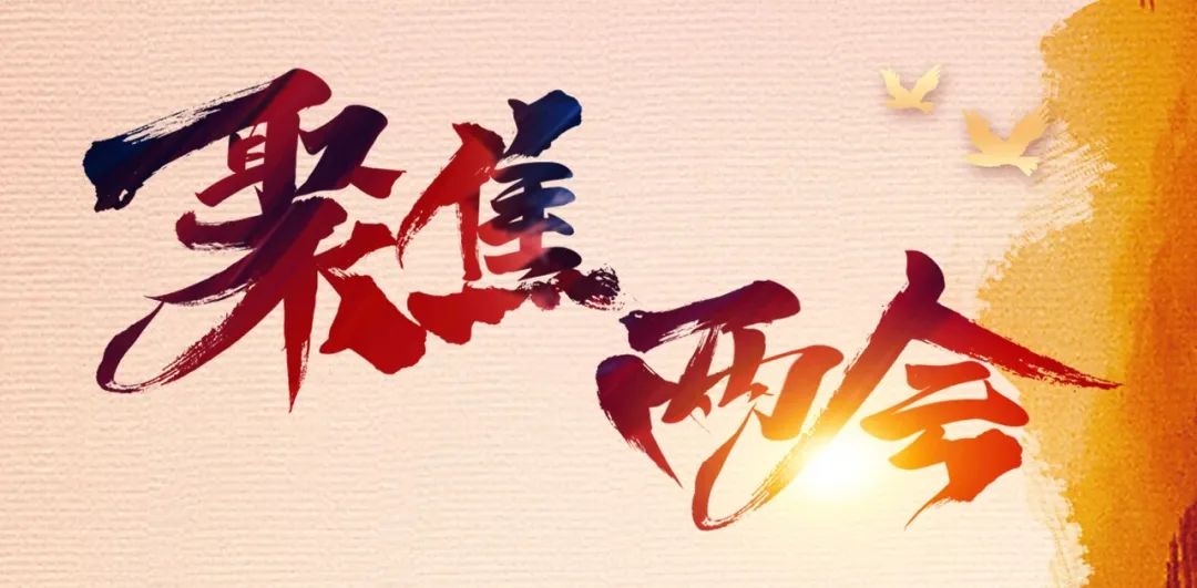 劃重點(diǎn)!詳讀2020政府工作報(bào)告衛(wèi)生健康相關(guān)內(nèi)容(附全文)-肽度TIMEDOO