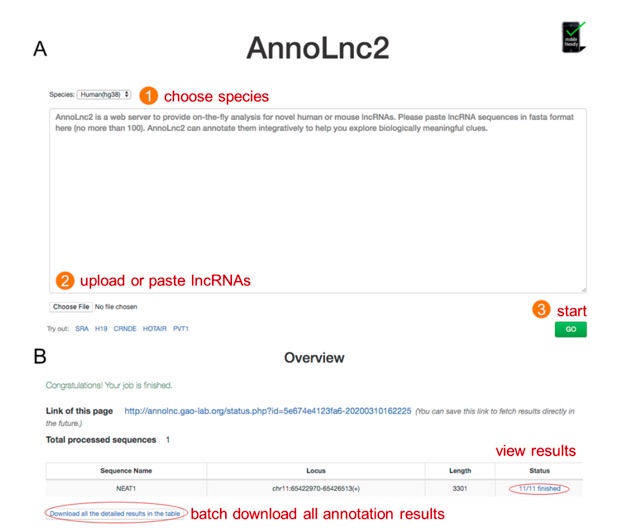 Nucleic Acids Research | 北京大學(xué)高歌團隊開發(fā)長非編碼RNA全面注釋平臺AnnoLnc2-肽度TIMEDOO