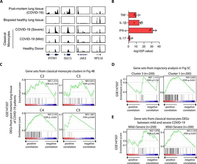 Science子刊新發(fā)現(xiàn):IFN-1有望成為治療重癥新冠肺炎的靶點新星-肽度TIMEDOO
