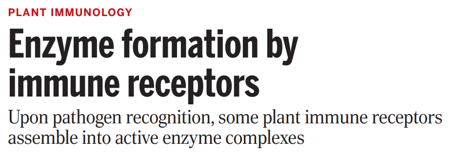 科研成果 | 清華大學柴繼杰課題組與合作者首次揭示植物TNL類抗病蛋白激活的分子機制-肽度TIMEDOO