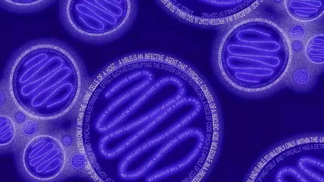 MIT科學家發(fā)現(xiàn)識別文字的AI也能發(fā)現(xiàn)新冠病毒變異-肽度TIMEDOO