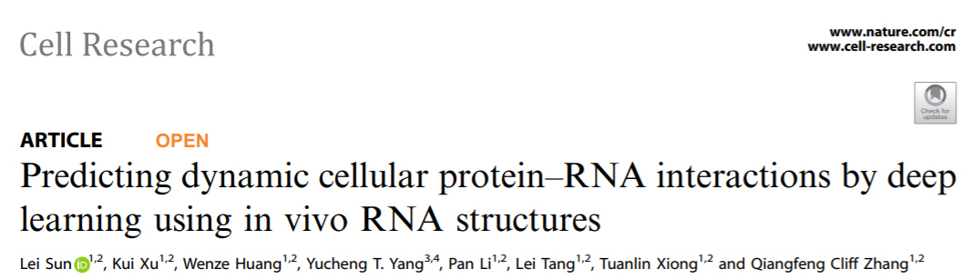 科研成果 | 張強鋒課題組開發(fā)基于細胞內(nèi)RNA結(jié)構(gòu)預(yù)測蛋白質(zhì)-RNA動態(tài)相互作用的人工智能方法-肽度TIMEDOO