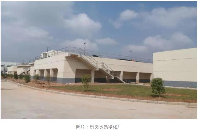 由中腫牽頭聯(lián)合復(fù)腫和浙二開展的多中心臨床研究證實(shí)血液循環(huán)腫瘤DNA可用于結(jié)直腸癌術(shù)后復(fù)發(fā)風(fēng)險(xiǎn)預(yù)測-肽度TIMEDOO