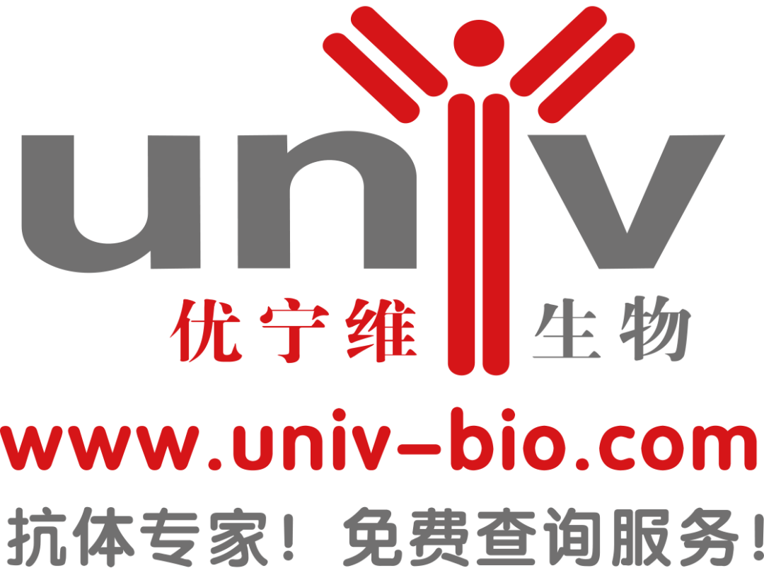 展位銷售過半 ▏早鳥價即將截止▏2021易貿(mào)醫(yī)療會議之第五屆中國醫(yī)學(xué)檢驗實驗室高峰論壇-肽度TIMEDOO