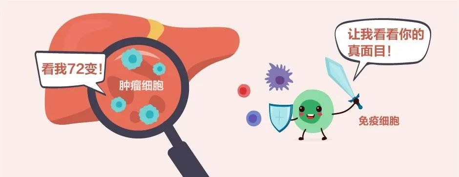 揭秘腫瘤細胞與免疫細胞的對戰(zhàn),復旦中山醫(yī)院攜手華大為最難治療的腫瘤提供治療新策略-肽度TIMEDOO