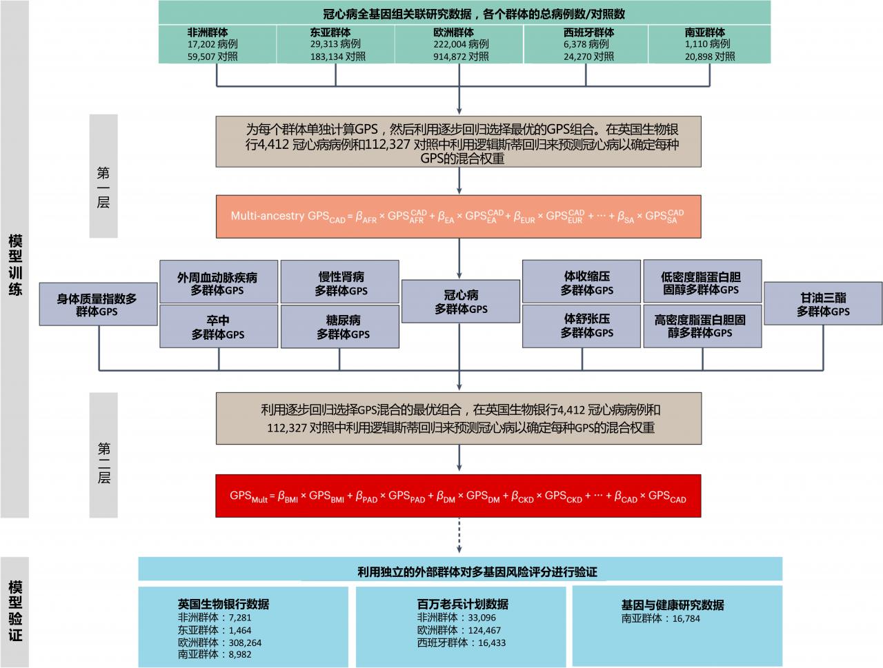 中美科學(xué)家合作開發(fā)預(yù)測冠心病患病風(fēng)險(xiǎn)模型-肽度TIMEDOO