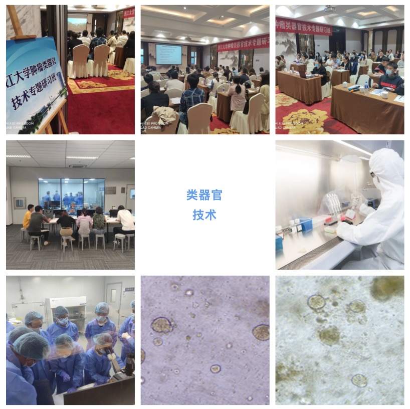 2023年10月26-29日·杭州·浙江大學第6期類器官技術專題研習班-肽度TIMEDOO