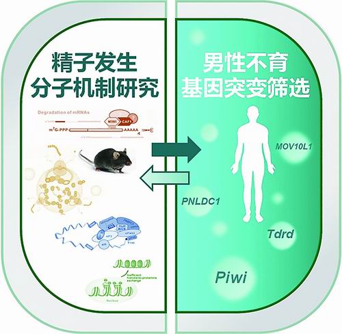 揭秘基因組“暗物質(zhì)”-肽度TIMEDOO