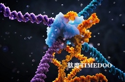 比現(xiàn)有技術(shù)更有優(yōu)勢 “RNA橋”新基因編輯技術(shù)問世-肽度TIMEDOO