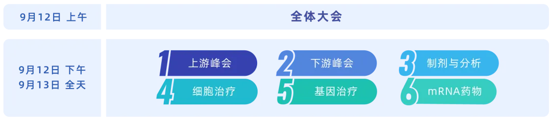 BioCMC2024第八屆百世生物藥CMC技術(shù)創(chuàng)新大會-肽度TIMEDOO
