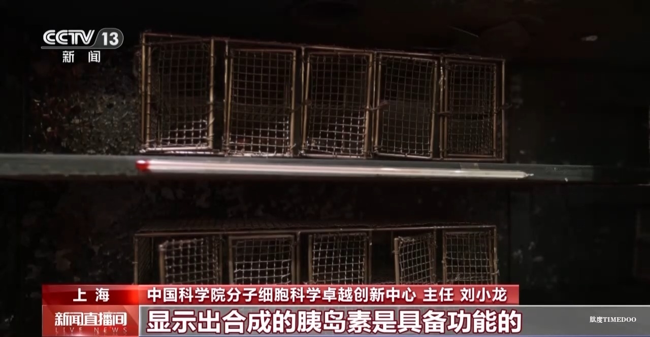 敢“啃”硬骨頭 他帶領(lǐng)團(tuán)隊合成了牛胰島素-肽度TIMEDOO