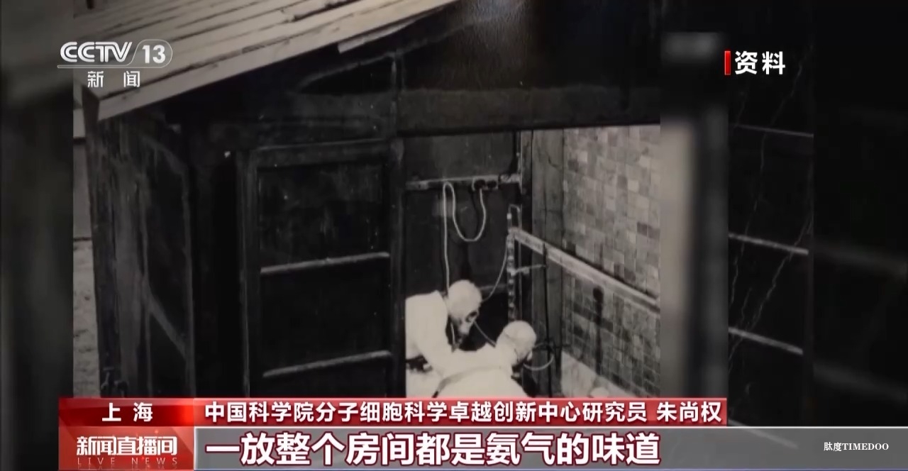 敢“啃”硬骨頭 他帶領(lǐng)團(tuán)隊合成了牛胰島素-肽度TIMEDOO