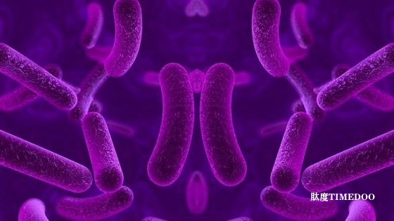 頂級科學(xué)家呼吁禁止創(chuàng)造鏡像細(xì)菌-肽度TIMEDOO