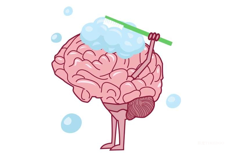 睡眠或助大腦“清垃圾”,與癡呆風(fēng)險(xiǎn)相關(guān)機(jī)制仍待揭示-肽度TIMEDOO